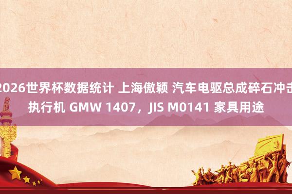 2026世界杯数据统计 上海傲颖 汽车电驱总成碎石冲击执行机 GMW 1407,JIS M0141 家具用途