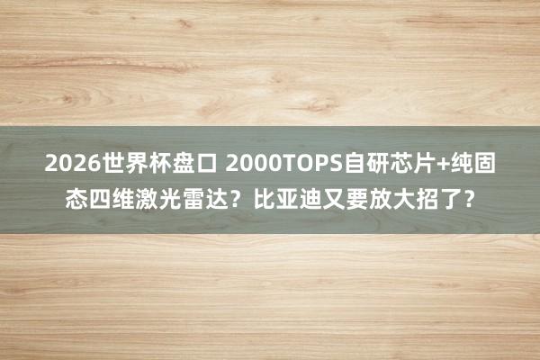 2026世界杯盘口 2000TOPS自研芯片+纯固态四维激光雷达？比亚迪又要放大招了？