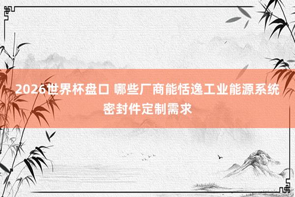 2026世界杯盘口 哪些厂商能恬逸工业能源系统密封件定制需求