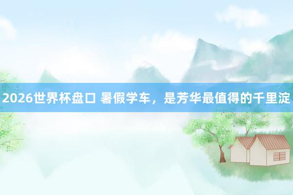 2026世界杯盘口 暑假学车，是芳华最值得的千里淀