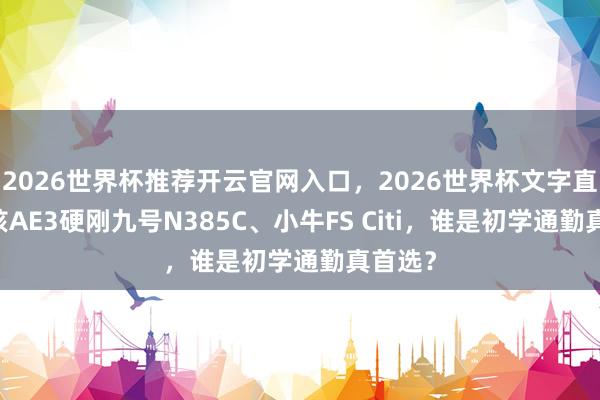 2026世界杯推荐开云官网入口，2026世界杯文字直播 极核AE3硬刚九号N385C、小牛FS Citi，谁是初学通勤真首选？