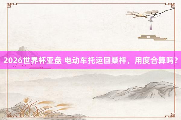 2026世界杯亚盘 电动车托运回桑梓，用度合算吗？