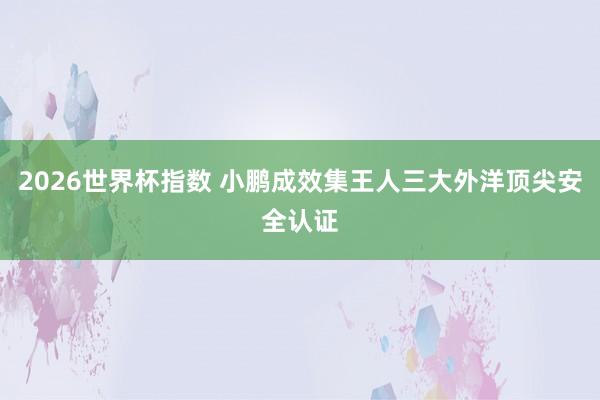 2026世界杯指数 小鹏成效集王人三大外洋顶尖安全认证