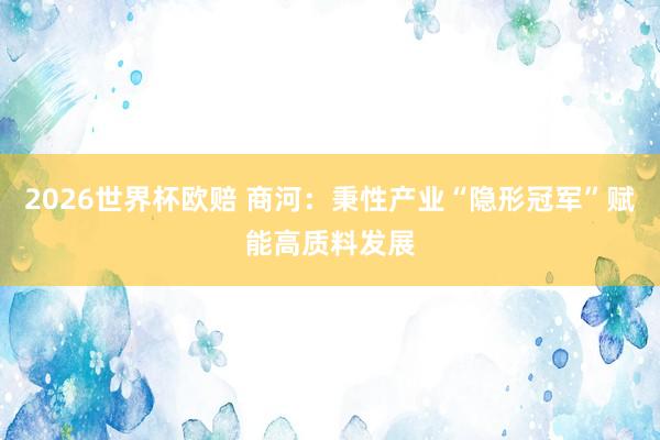 2026世界杯欧赔 商河：秉性产业“隐形冠军”赋能高质料发展