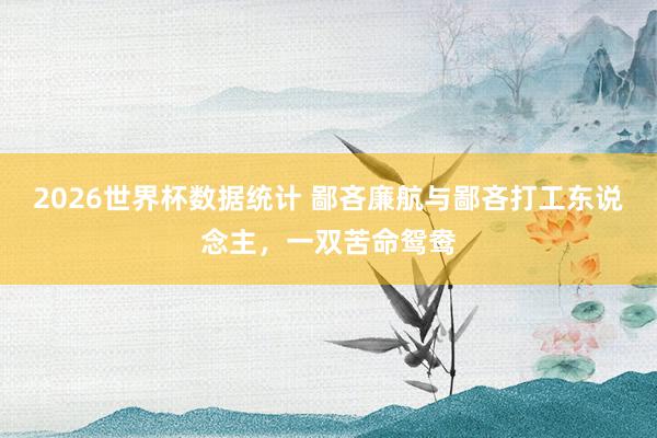 2026世界杯数据统计 鄙吝廉航与鄙吝打工东说念主，一双苦命鸳鸯