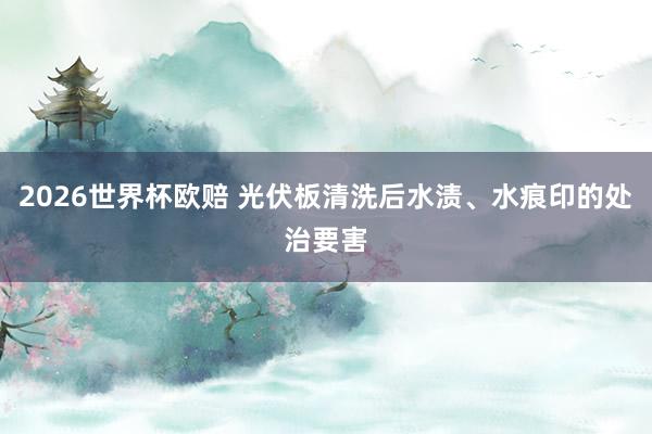 2026世界杯欧赔 光伏板清洗后水渍、水痕印的处治要害