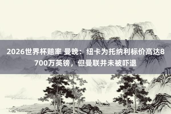 2026世界杯赔率 曼晚:纽卡为托纳利标价高达8700万英镑,但曼联并未被吓退