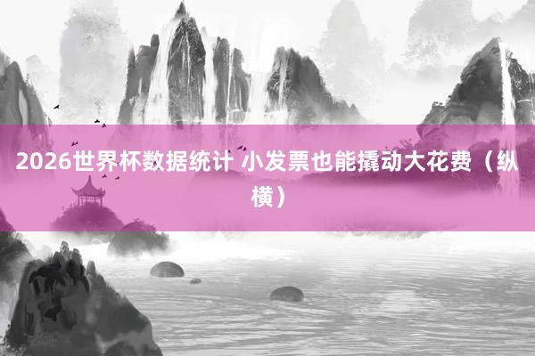 2026世界杯数据统计 小发票也能撬动大花费（纵横）