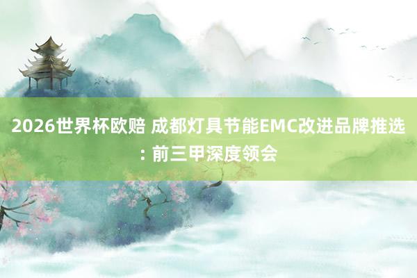 2026世界杯欧赔 成都灯具节能EMC改进品牌推选: 前三甲深度领会