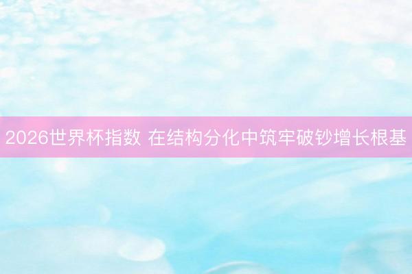 2026世界杯指数 在结构分化中筑牢破钞增长根基
