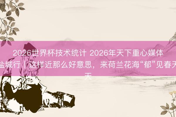 2026世界杯技术统计 2026年天下重心媒体盐城行｜这样近那么好意思，来荷兰花海“郁”见春天