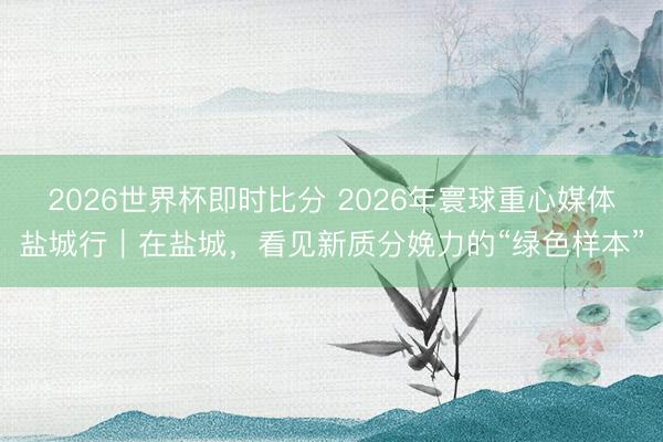 2026世界杯即时比分 2026年寰球重心媒体盐城行｜在盐城，看见新质分娩力的“绿色样本”