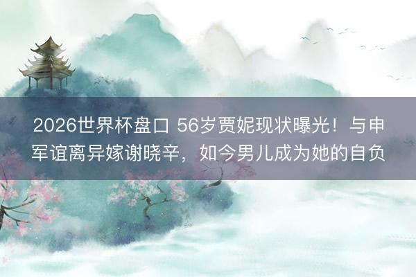 2026世界杯盘口 56岁贾妮现状曝光!与申军谊离异嫁谢晓辛,如今男儿成为她的自负