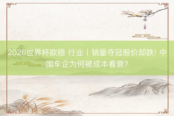 2026世界杯欧赔 行业丨销量夺冠股价却跌! 中国车企为何被成本看衰?